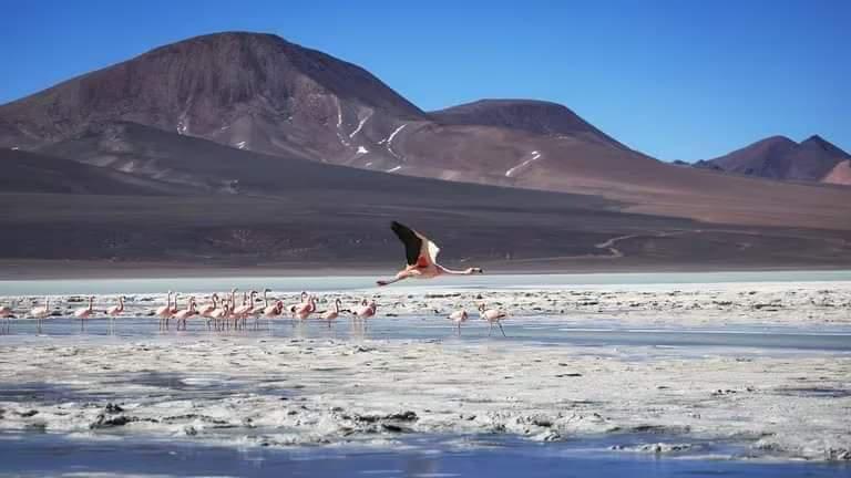 FB_IMG_1724760872903