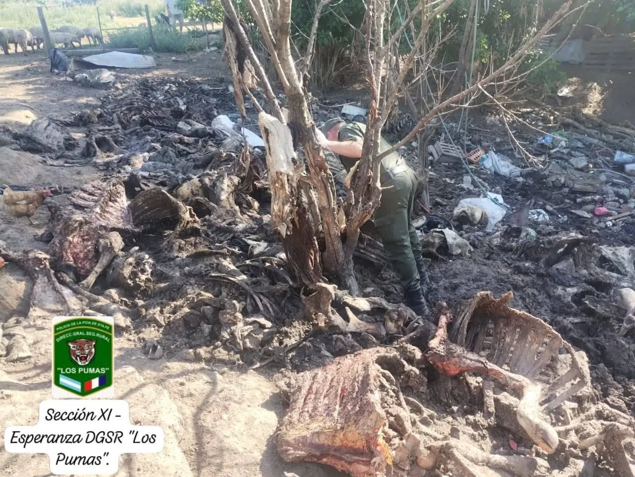 FB_IMG_1766170104347