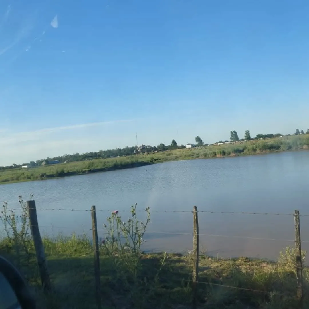 FB_IMG_1735435787102