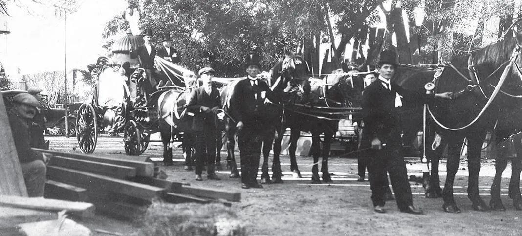 102786137_1477378355780116_2118863429027206032_n