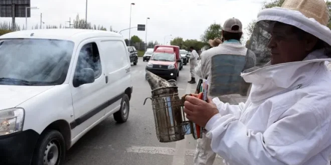sfp-protesta-apicultores-rio-negro-1jpg-660x330