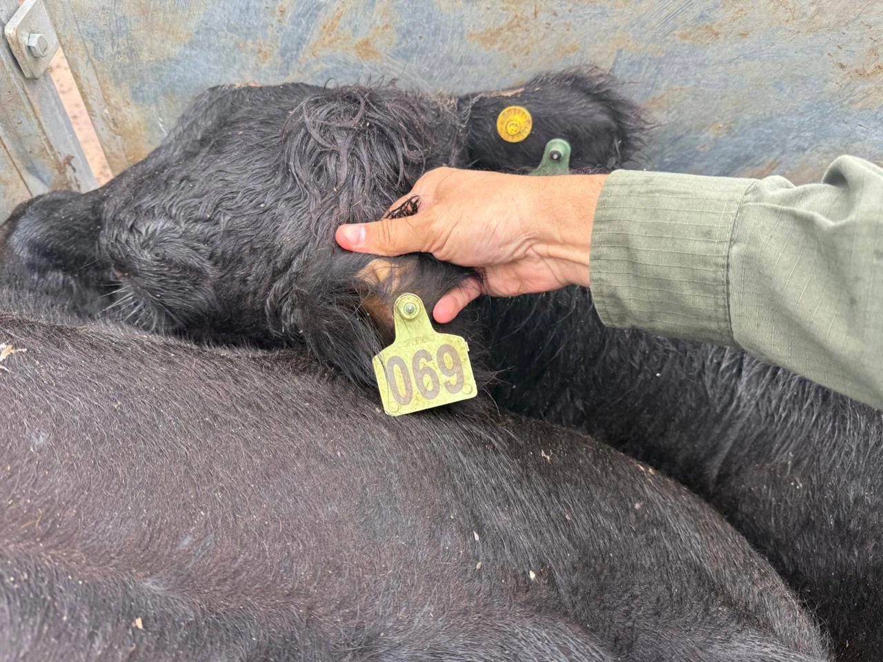 656715289_1405263044736941_79694707064464710_n