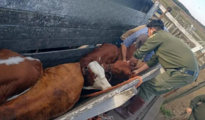 WhatsApp-Image-2025-07-22-at-10.01.15-AM