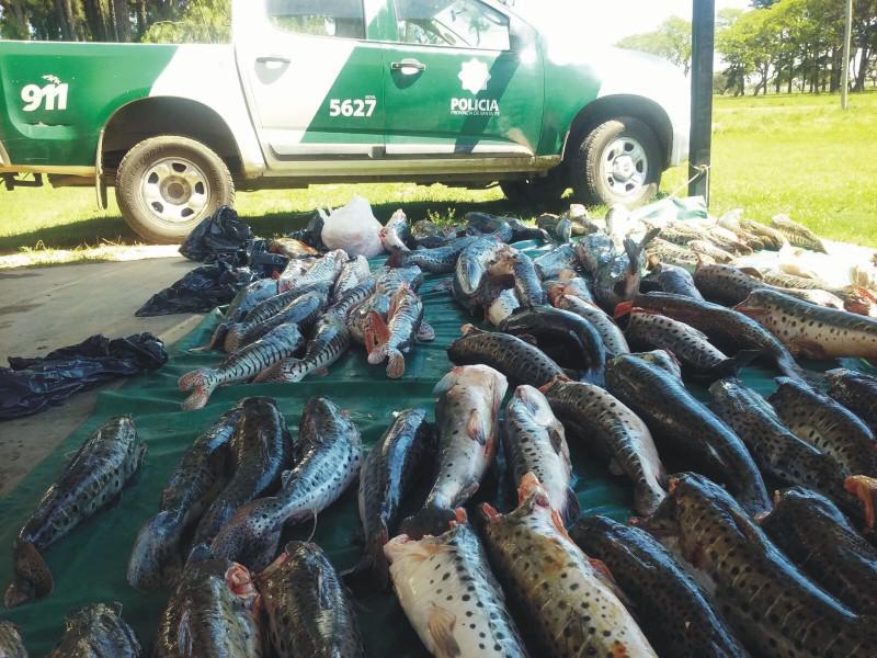 pesca