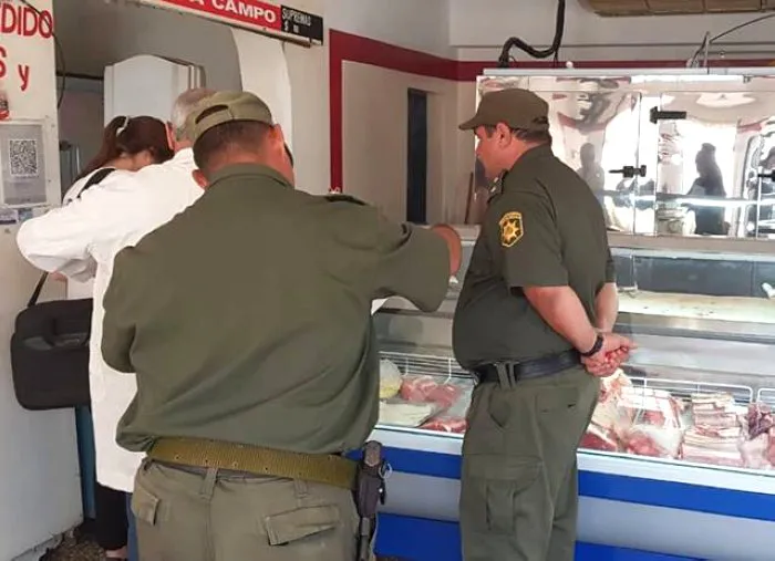 10856-guardialospumas-carniceria