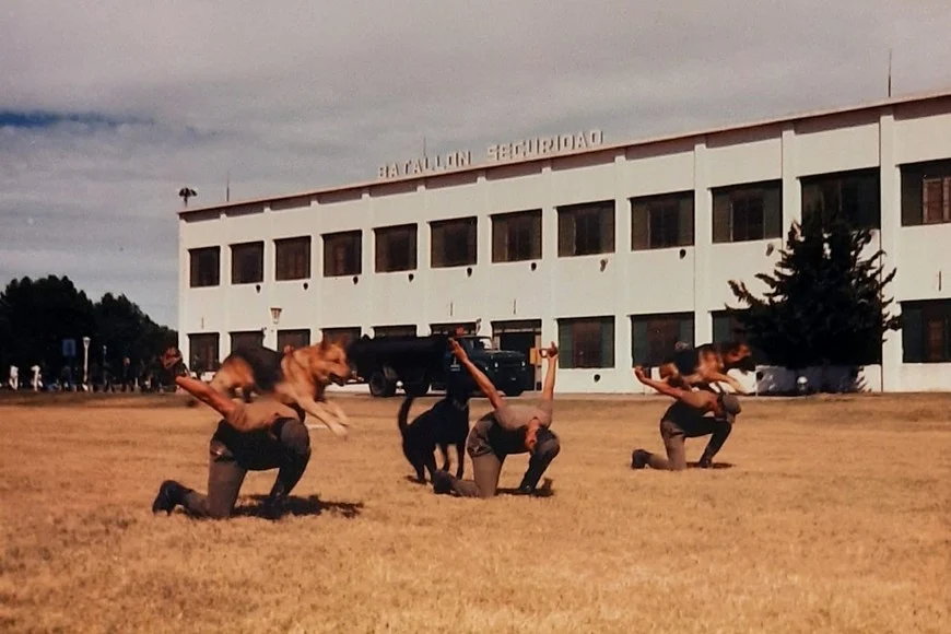 hDBUnSSiC_870x580__1