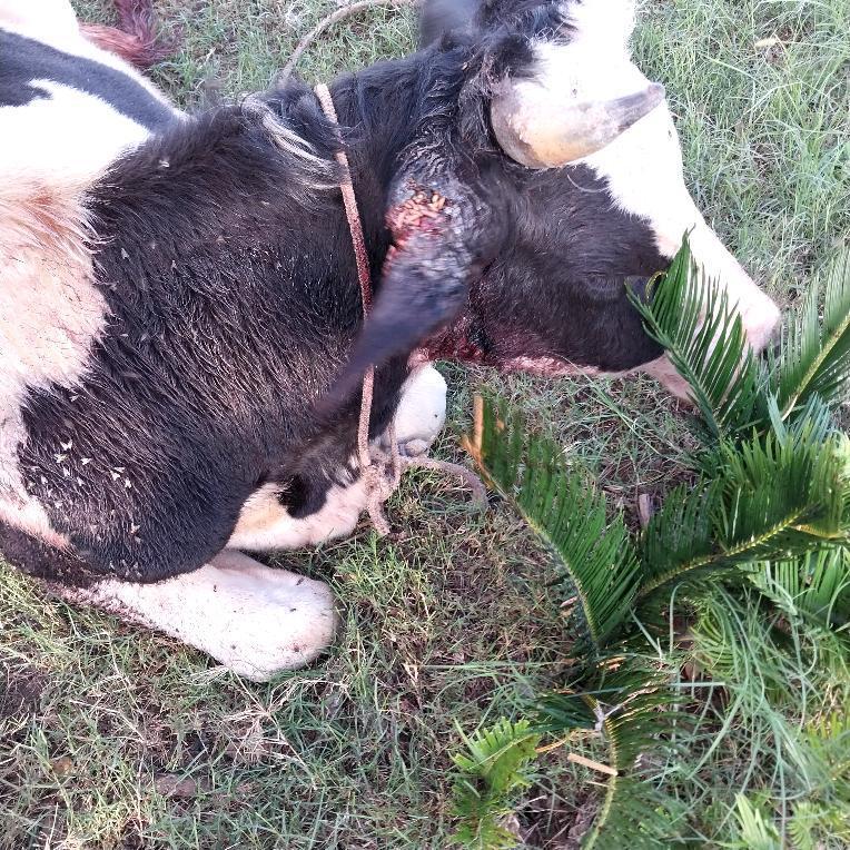 IMG_20240325_143323_163