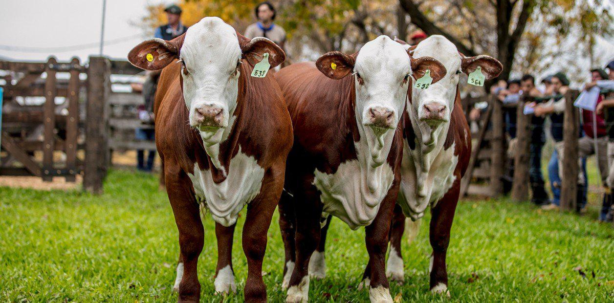 rJvcvu7x7_1256x620__1