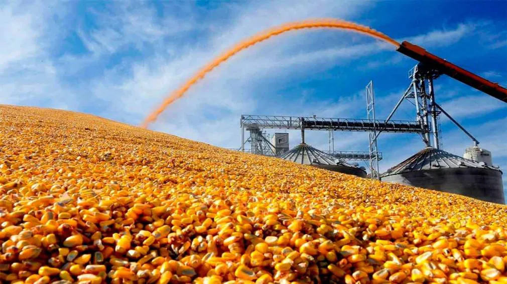 1010x567_exportacion-maiz-442053-071701