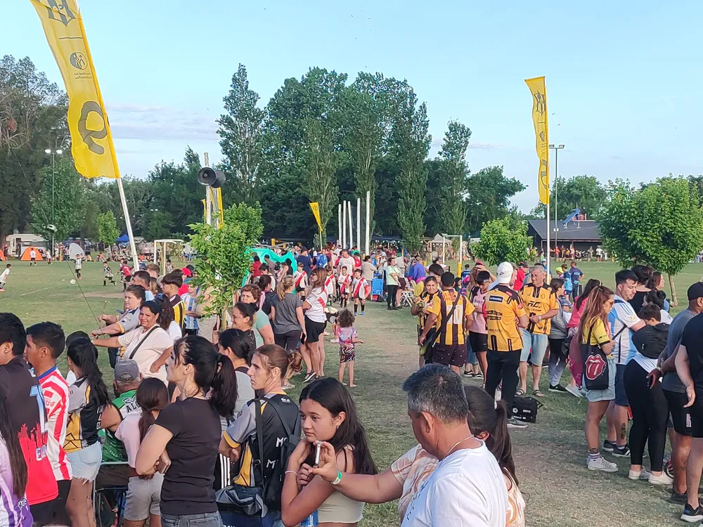 IMG_20241102_183447372