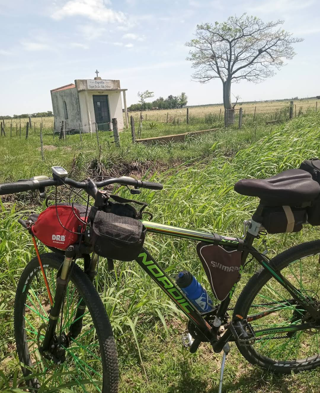 Screenshot_20240804-102114-590