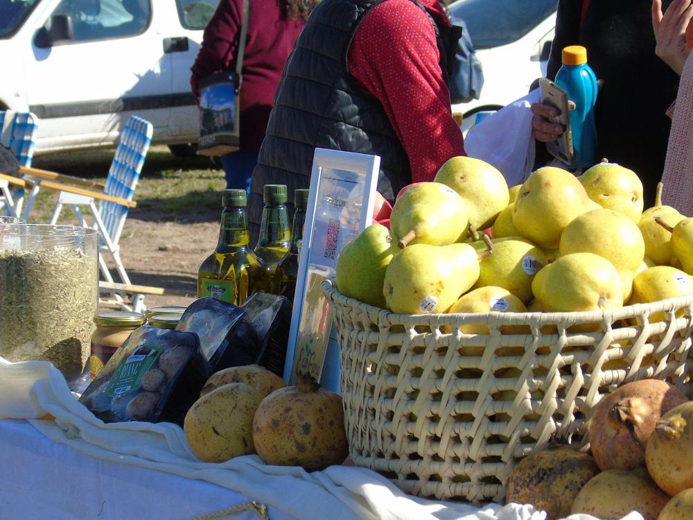 281866198_2330900133734884_4185161109534310677_n