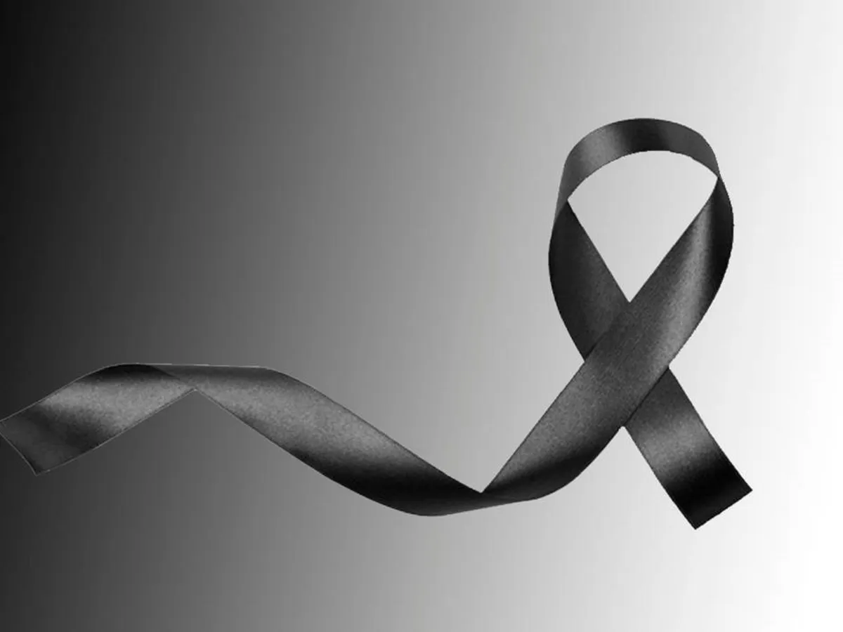 multimedia.normal.a8c51a363f1be16b.bXVsdGltZWRpYS5ub3JtYWwuOTk3Y2VlODA2MTA2ZDdfbm9ybWFsLndlYnA=