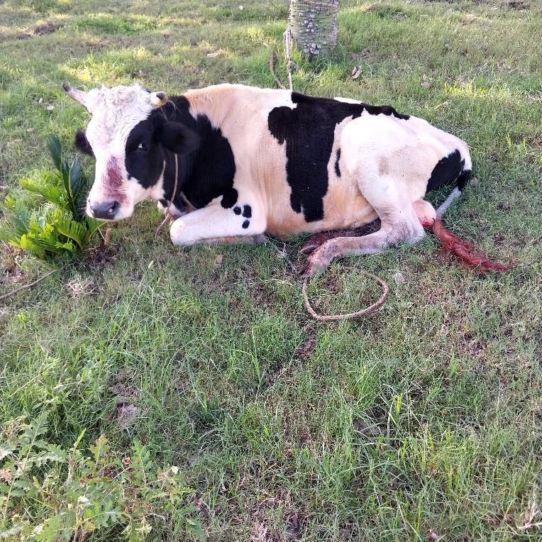 IMG_20240325_143325_493