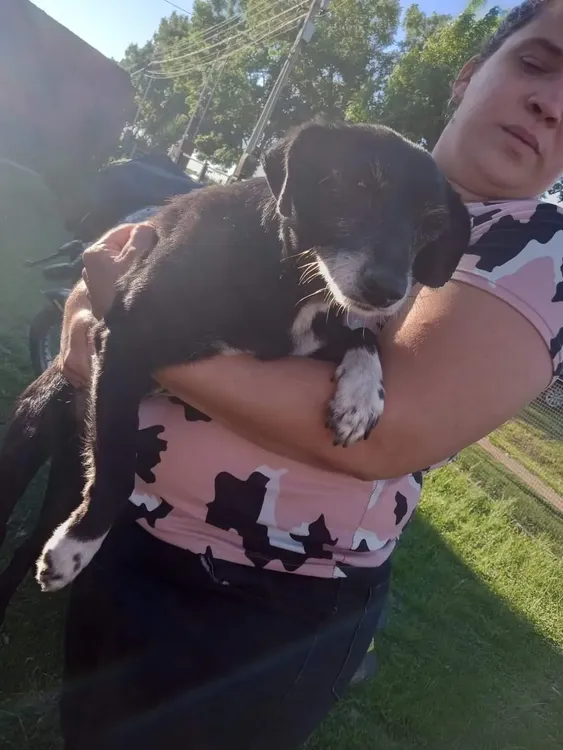 FB_IMG_1729953565319