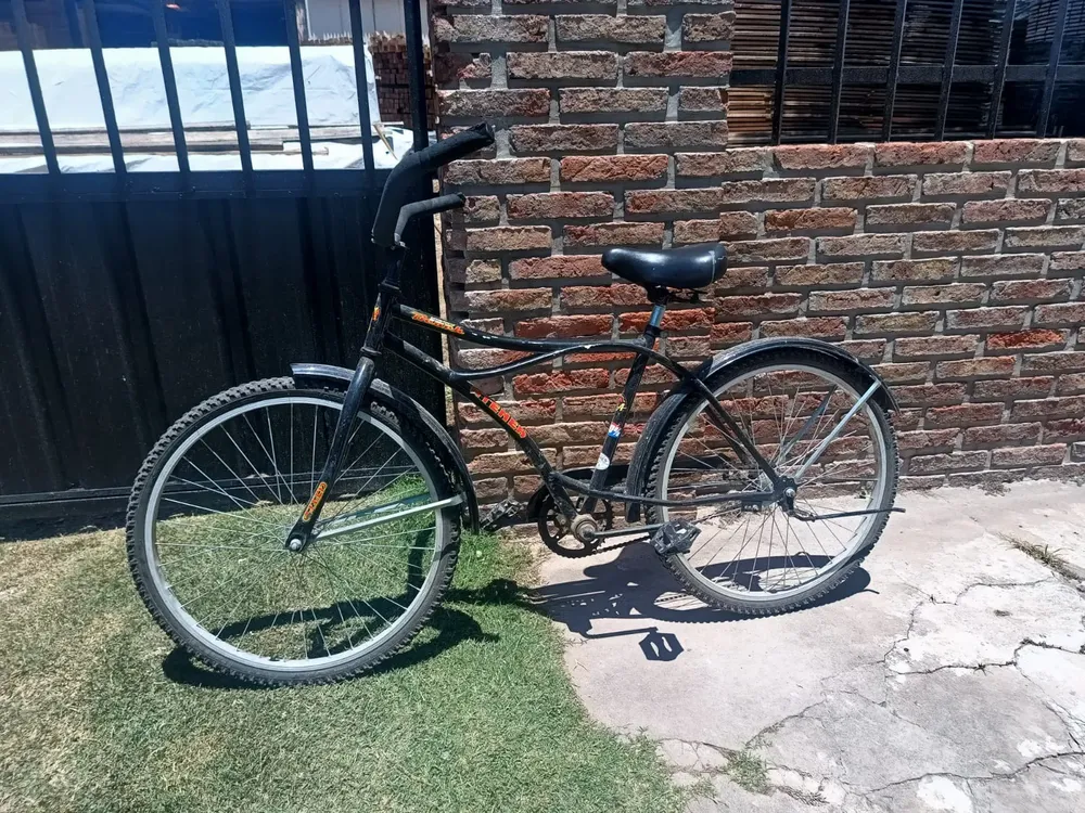 palyera negra