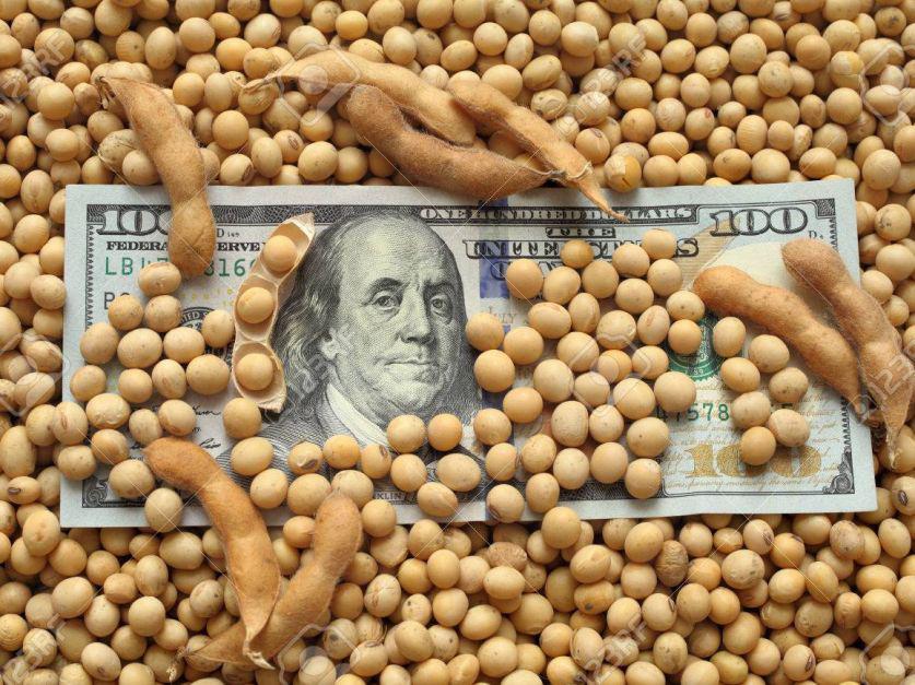 5f350b448d5c5_837_627!