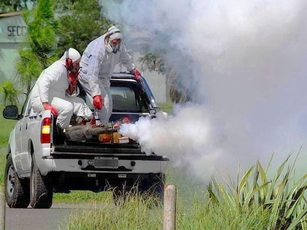 fumigacion-de-mosquitos