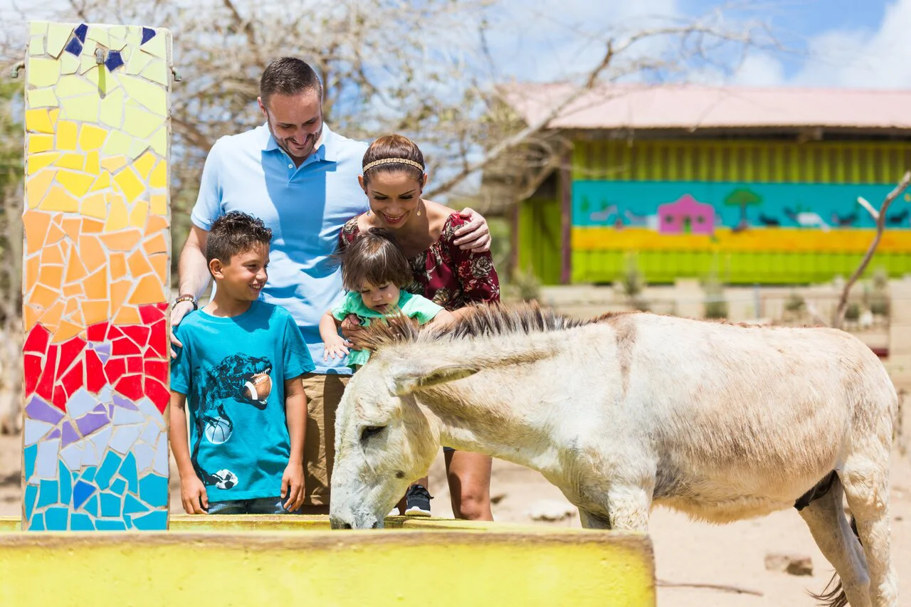 Donkey-Sanctuary-