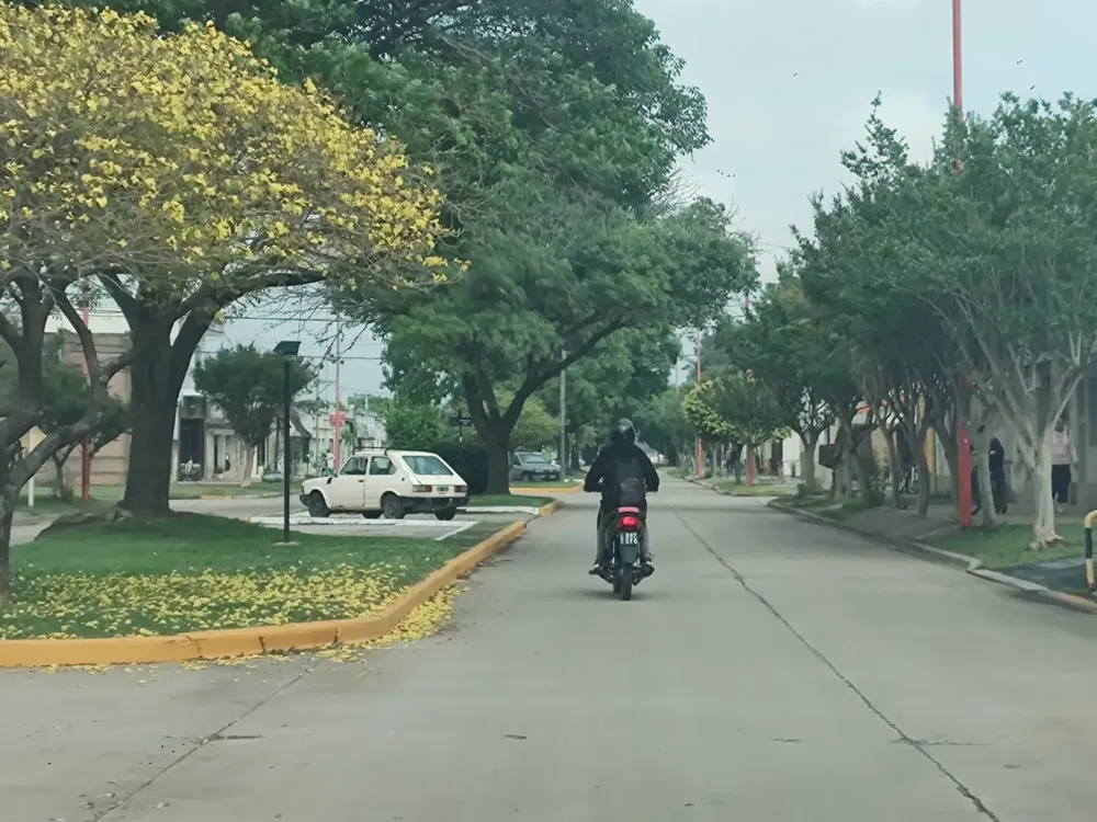 WhatsApp Image 2024-11-05 at 9.34.09 AM (2)