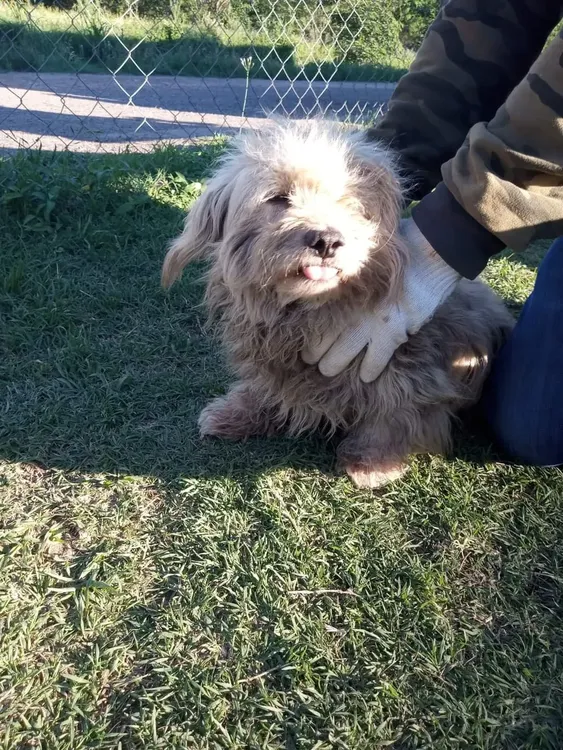 FB_IMG_1729953560666