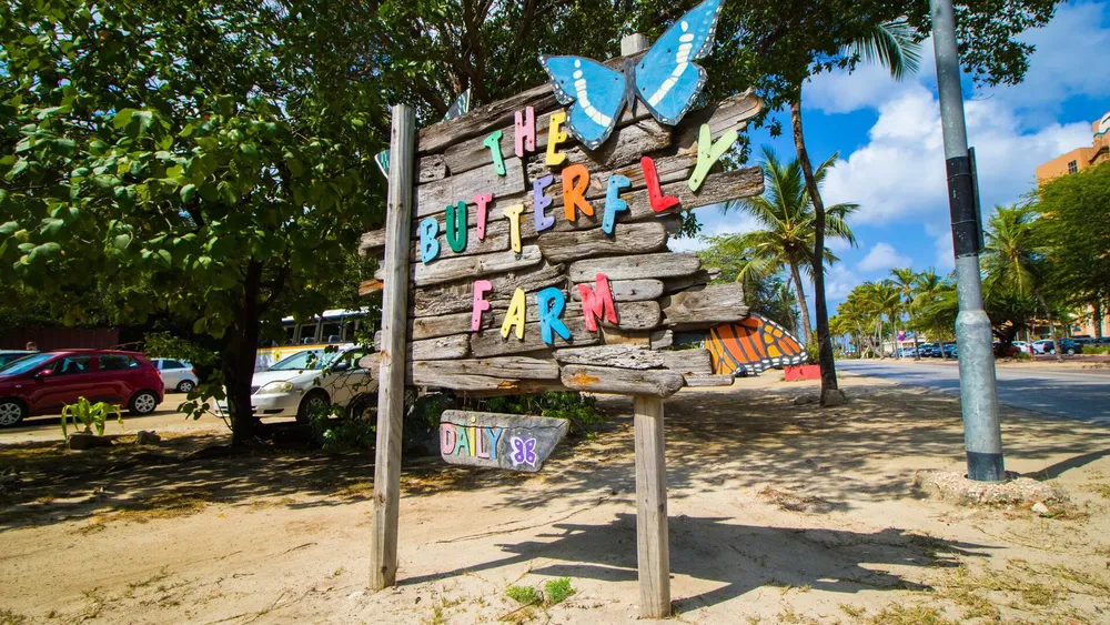 The-Butterfly-Farm