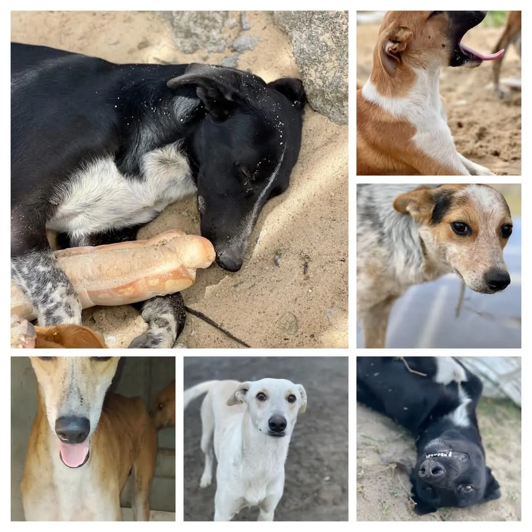 FB_IMG_1737554076162