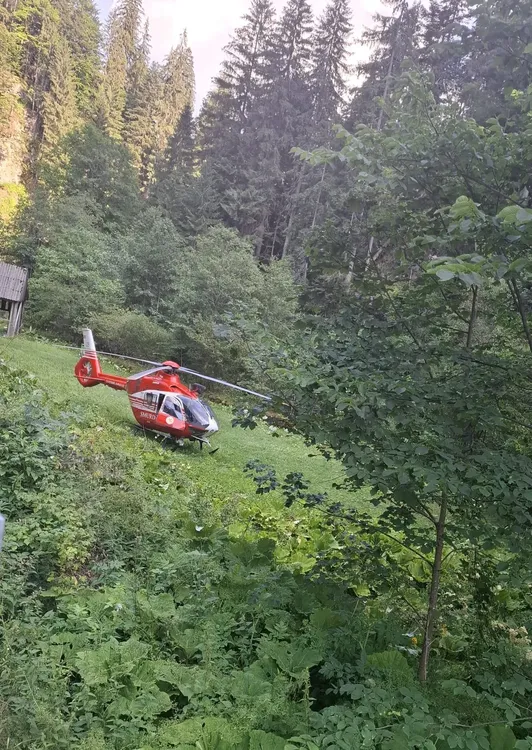 520240366_1132145202069973_3291183317974415406_n