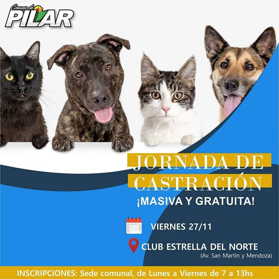 FB_IMG_1605629360904