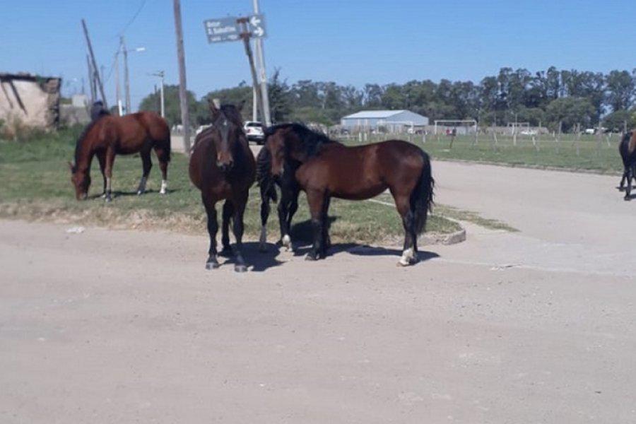 l_rfihkzy1euxfs8tw_yu