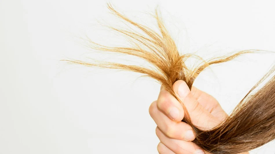 pelo_seco_quebradizo_headerdesktop