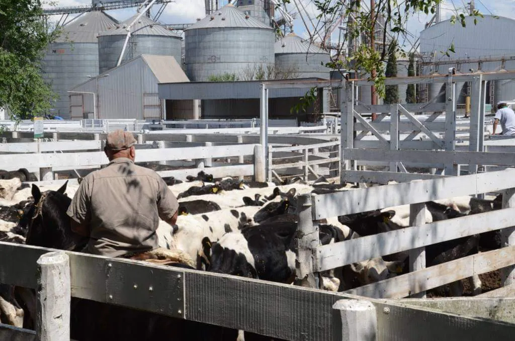 FB_IMG_1729794289255