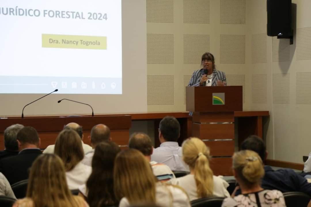 FB_IMG_1710542463015