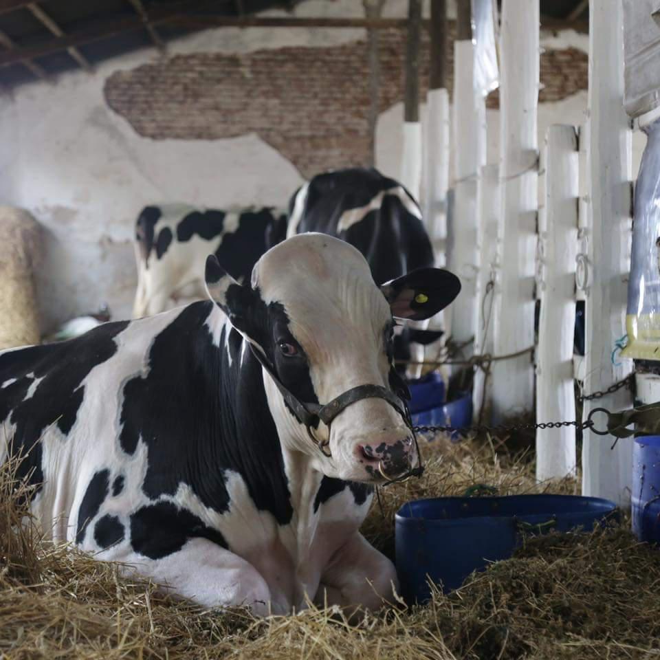 FB_IMG_1712962794096