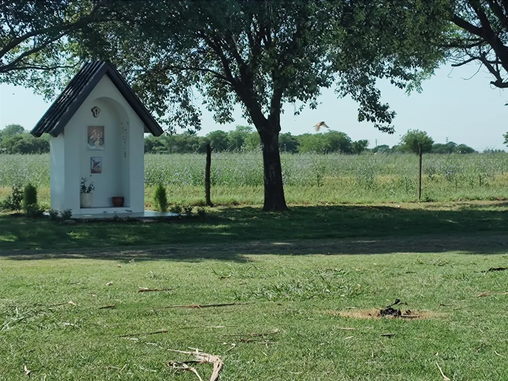 IMG_20241028_095014451