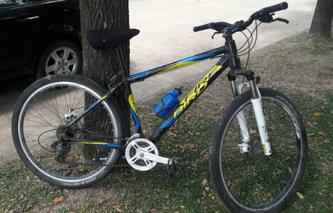 FB_IMG_1553701775822