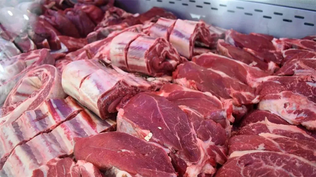 carne-6