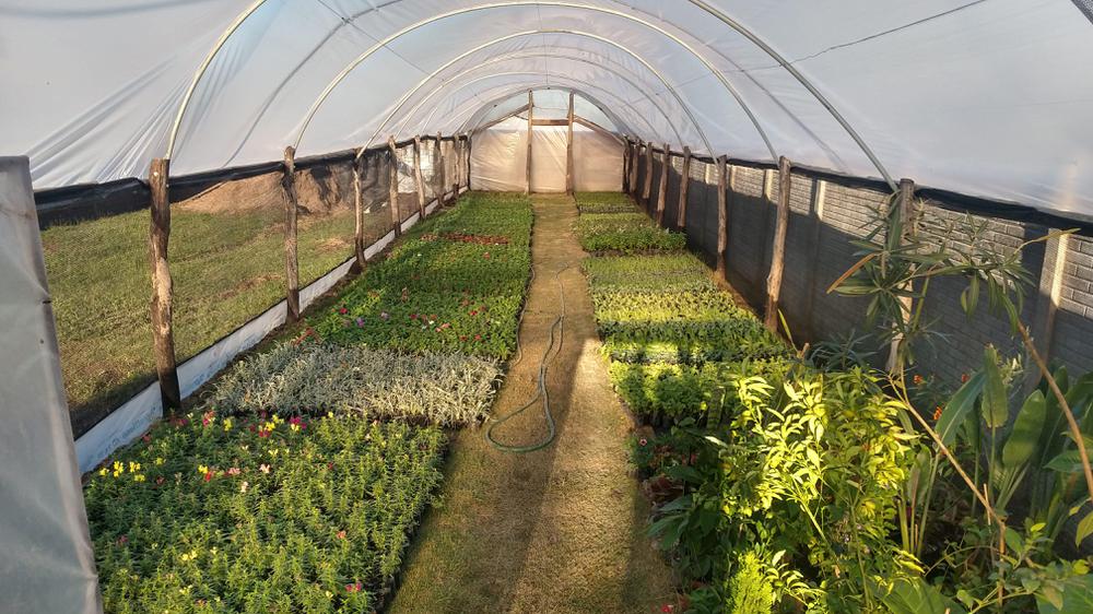 IMG_20210411_174037586_HDR