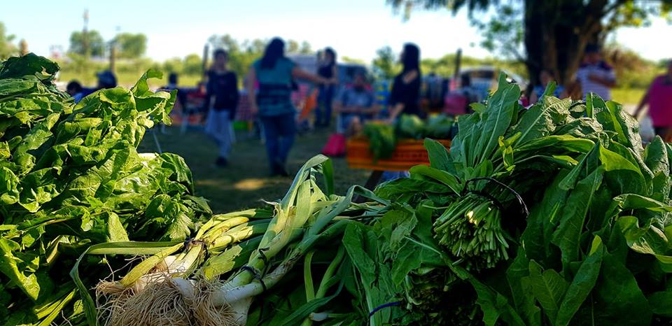 44167969_1133816773440950_1771819037760684032_n