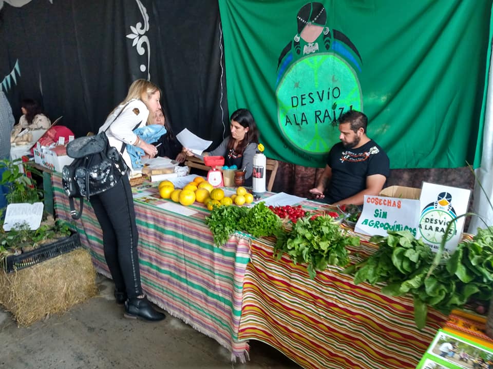 60624508_450525435704041_5939208131279060992_n