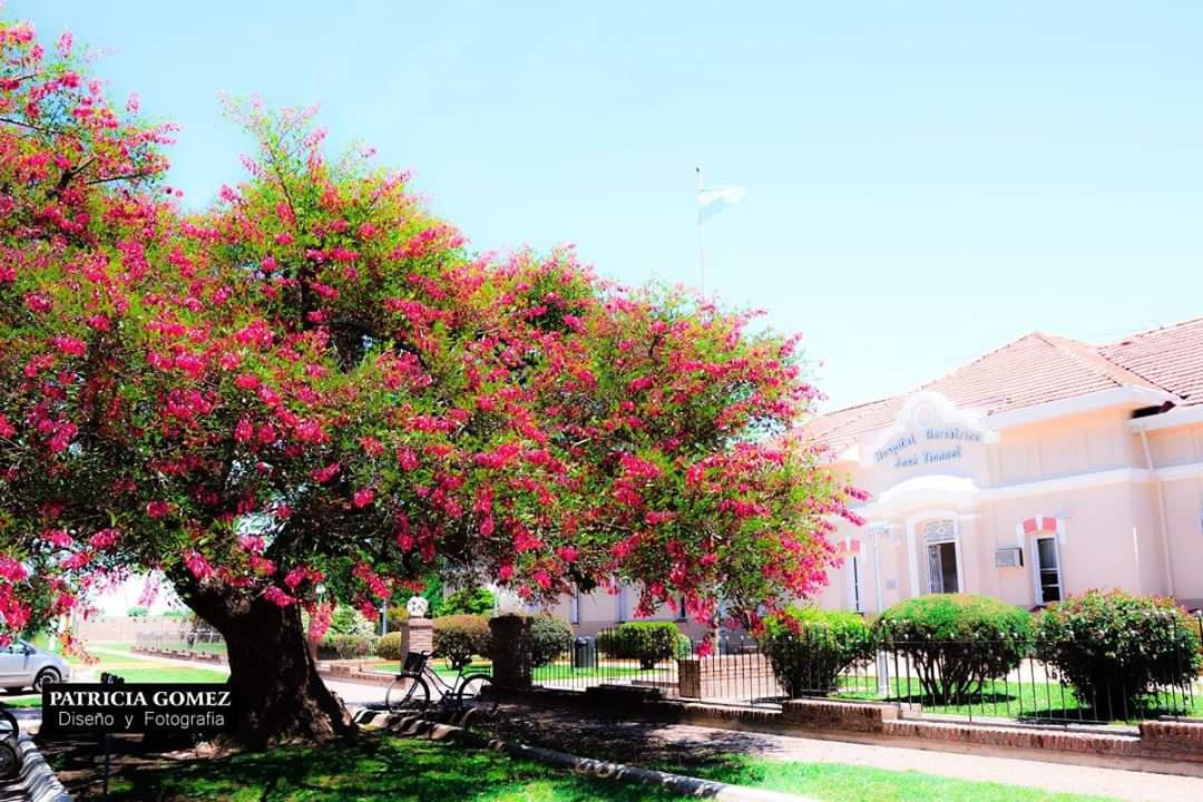 FB_IMG_1584447526840