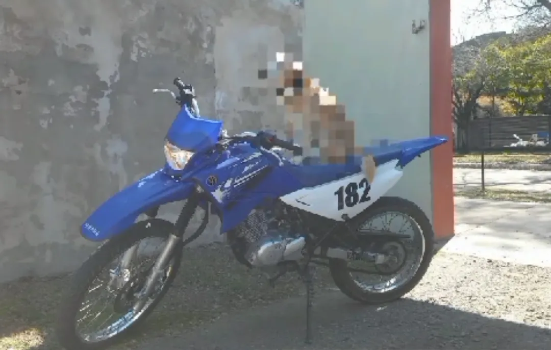 Screenshot_20241015-210045-369