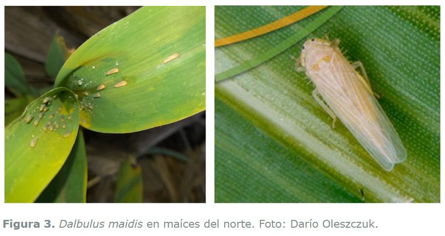 WhatsApp Image 2024-02-20 at 12.14.38 PM