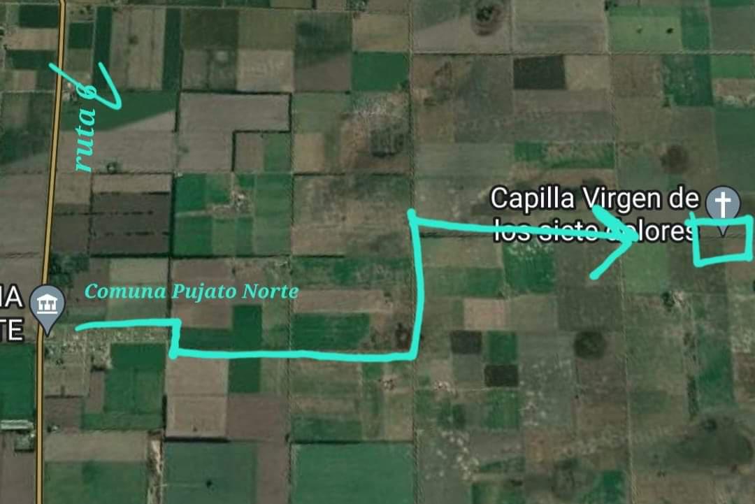 FB_IMG_1722776498666